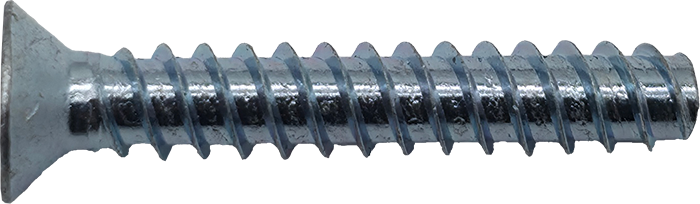 10 X 1-1/4 TFHSMS (FULL THREAD) TORX (SILVER ZINC) [AA6144]