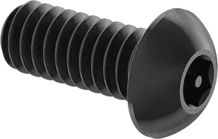 1/4-20 X 5/8 BSHCS (BLACK) SECURITY [AA6426]