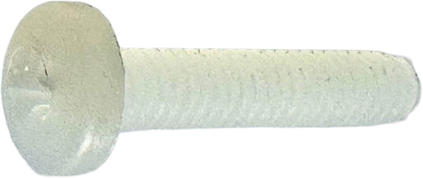 SCREW M2 X 10MM PRHMS NYLON [AA6649]