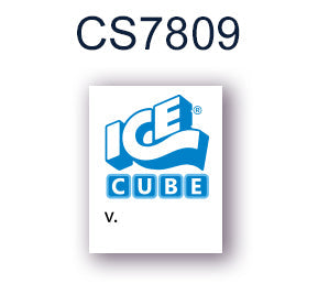 DECAL (SD CARD) ICE CUBE [CS7809] for ICE game(s)