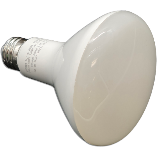 BULB FLOOD R30 (TCP/LED) [E00377]