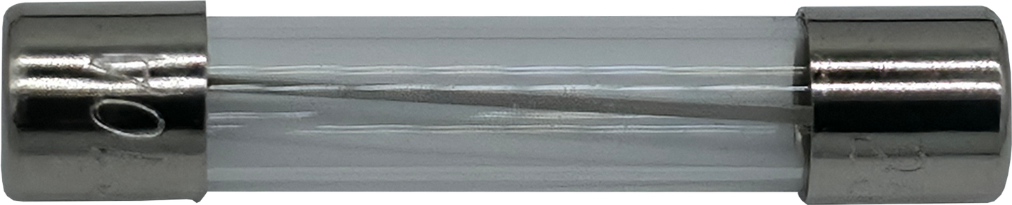 FUSE 10 AMP 250V FAST BLO [E01563]