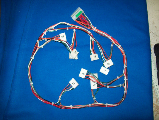 HARNESS (PLAYFIELD B) [GF2084HX]