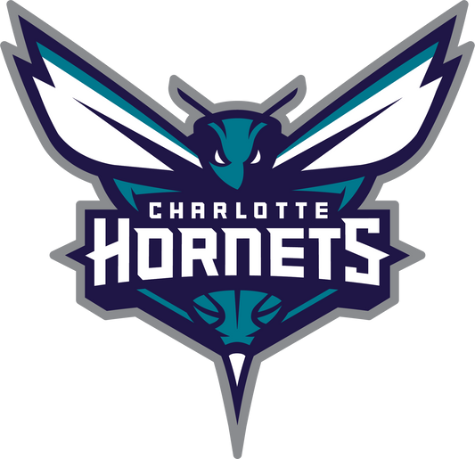 DECAL (BACKBOARD) CHARLOTTE HORNETS [NB7212CHA]