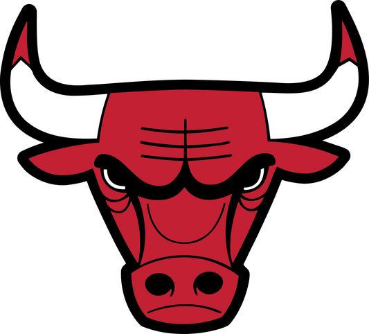 DECAL (BACKBOARD) CHICAGO BULLS [NB7212CHI]