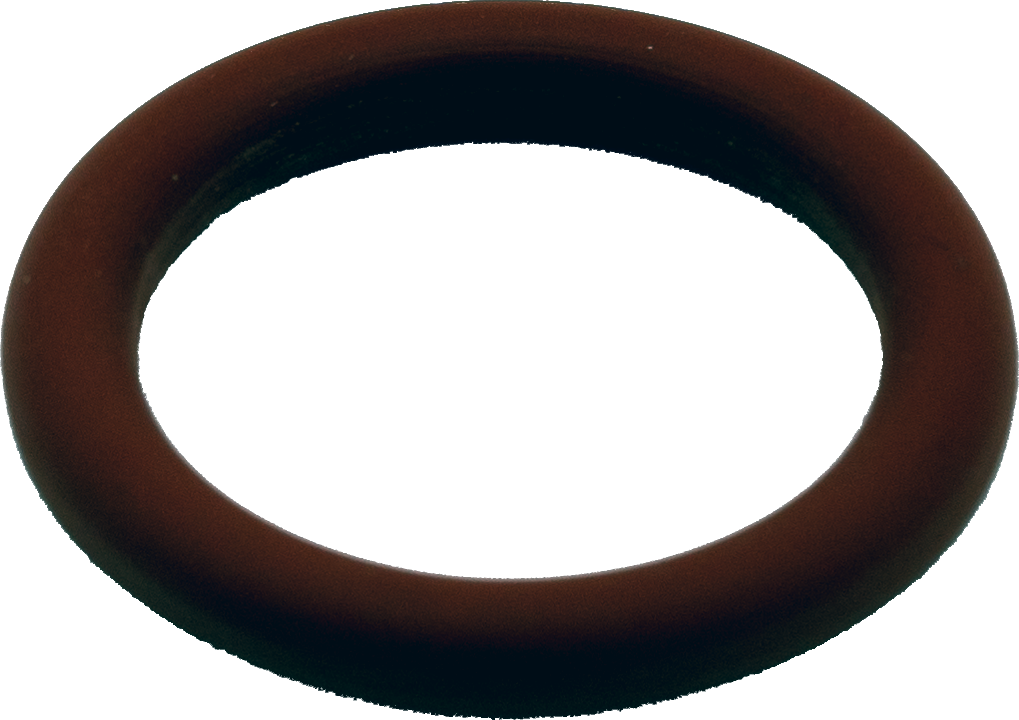 O RING [PS4014]