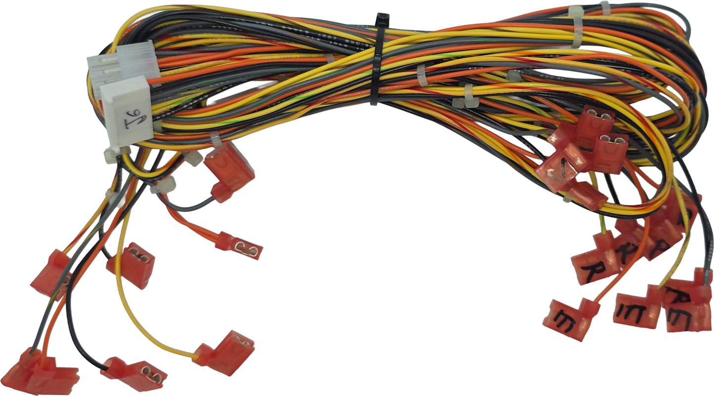 HARNESS (BUTTONS) [QB2053MX]