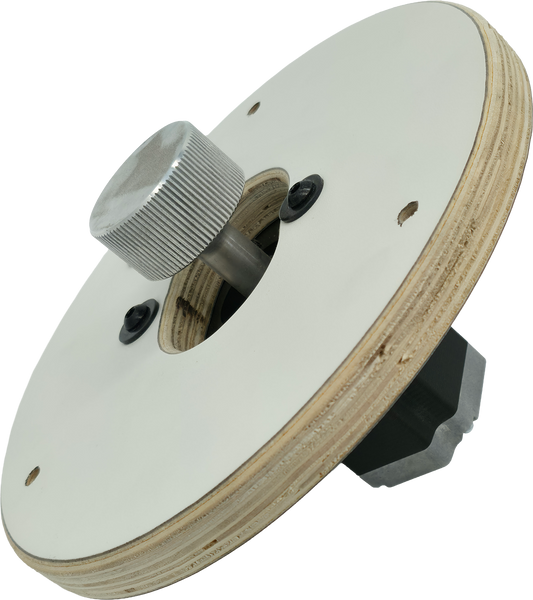 ASY (PLAYFIELD MOTOR) [RW3065X]