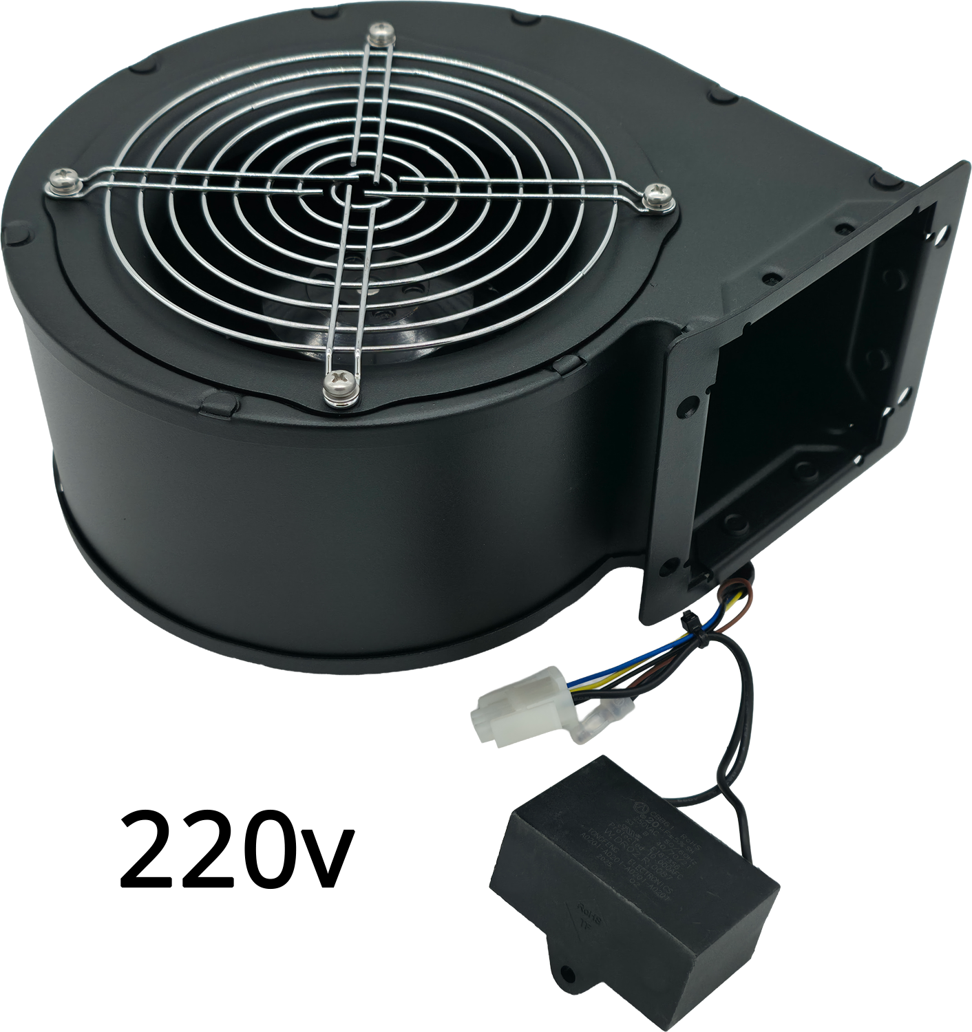 220V PLAYFIELD MOTOR (FT/COSMIC) [SA204200000100]