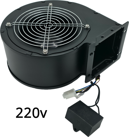 220V PLAYFIELD MOTOR (FT/COSMIC) [SA204200000100]