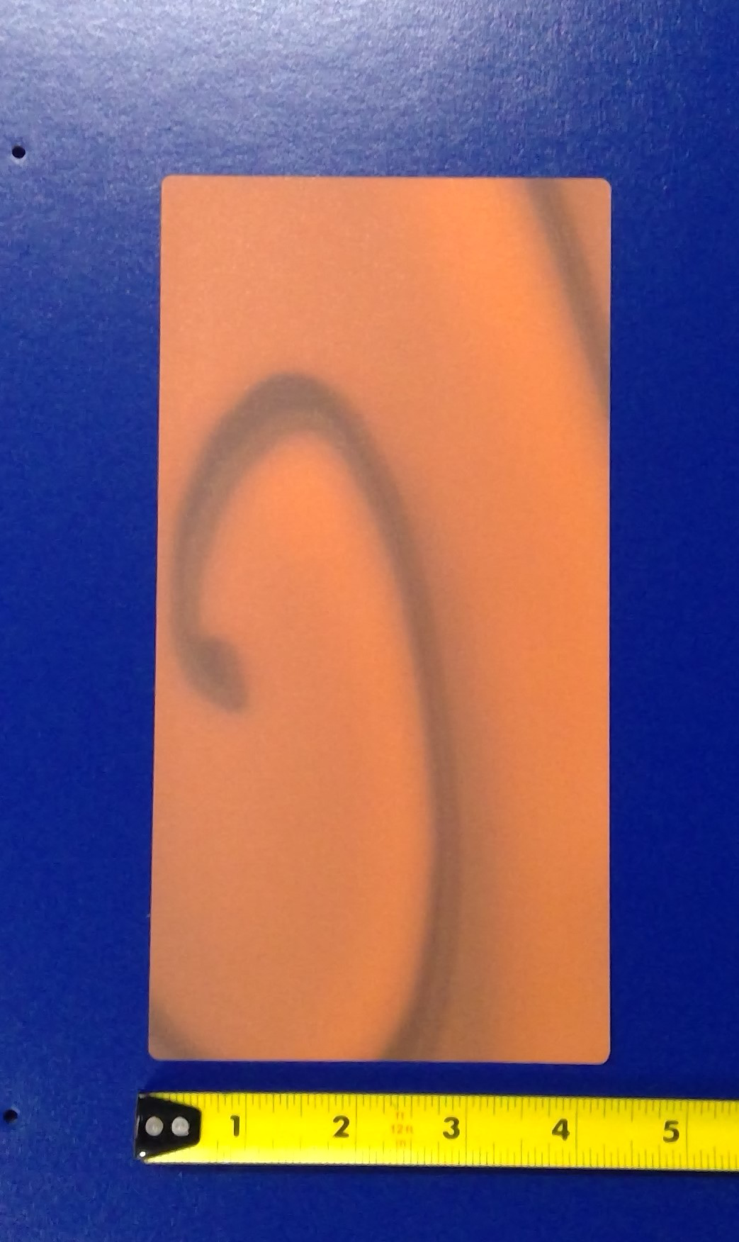 DECAL (COIN PLATE) DOUBLE [WN7022]